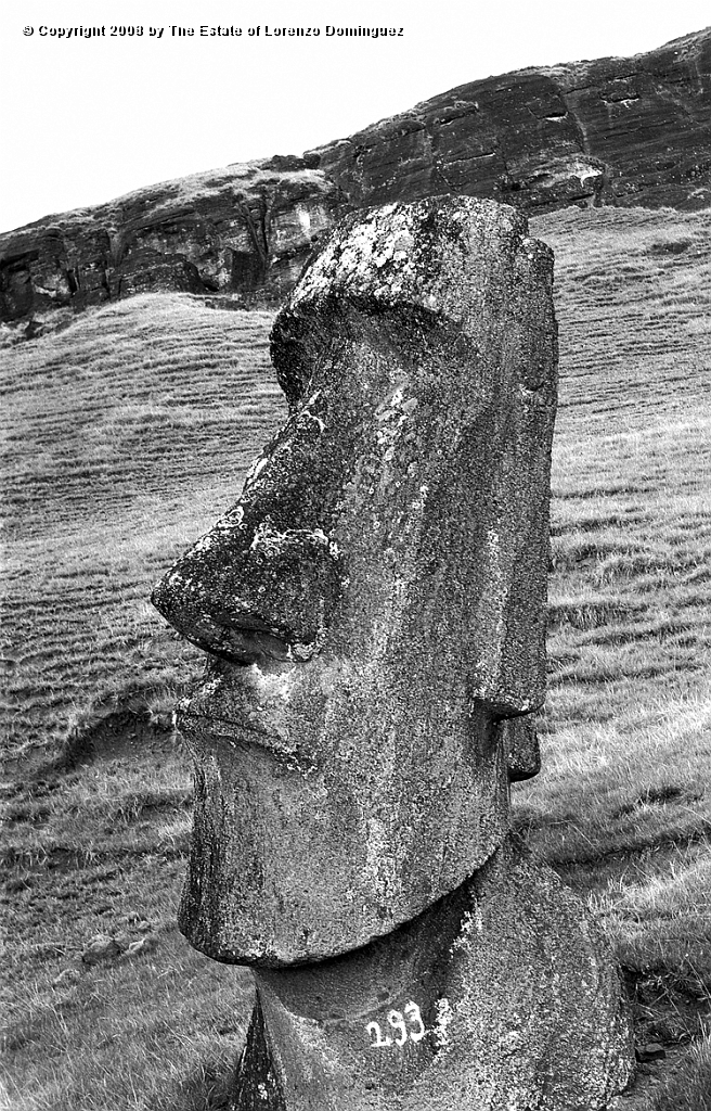 RRE_Hina_Riru_27.jpg - Easter Island. 1960. Moai on the exterior slope of Rano Raraku.  This moai is said to represent Hina-Riru, the first master sculptor who arrived on Easter Island with king Hotu Matu'a.