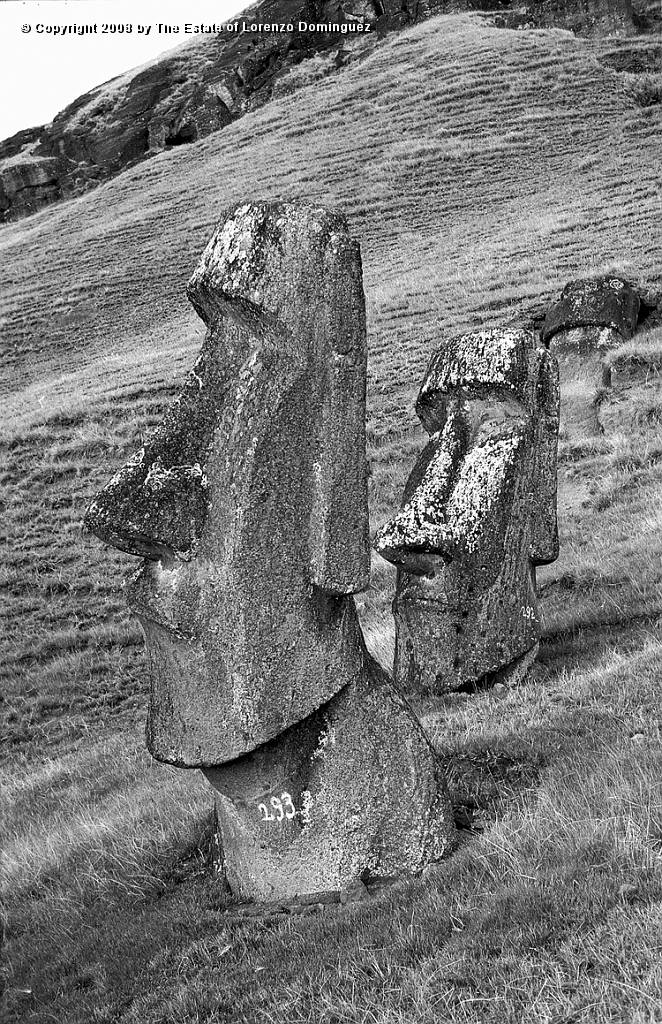 RRE_Hina_Riru_28.jpg - Easter Island. 1960. Two moai on the exterior slope of Rano Raraku.  In front, the  moai said to represent Hina-Riru, the first master sculptor who arrived on Easter Island with king Hotu Matu'a. Easter Island. In the background, the moai identified by Lorenzo Dominguez as "The Sunken One."