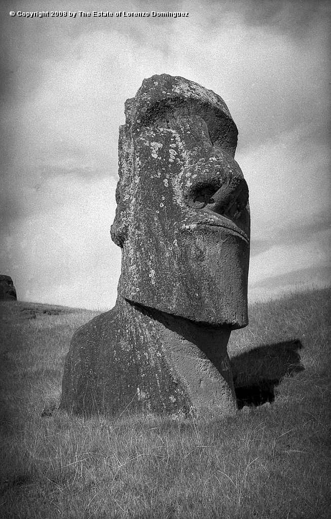 RRE_Hina_Riru_31.jpg - Easter Island. 1960. Moai on the exterior slope of Rano Raraku.  This moai is said to represent Hina-Riru, the first master sculptor who arrived on Easter Island with king Hotu Matu'a.