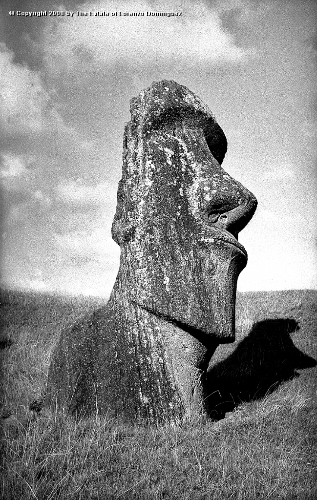 RRE_Hina_Riru_33.jpg - Easter Island. 1960. Moai on the exterior slope of Rano Raraku.  This moai is said to represent Hina-Riru, the first master sculptor who arrived on Easter Island with king Hotu Matu'a.