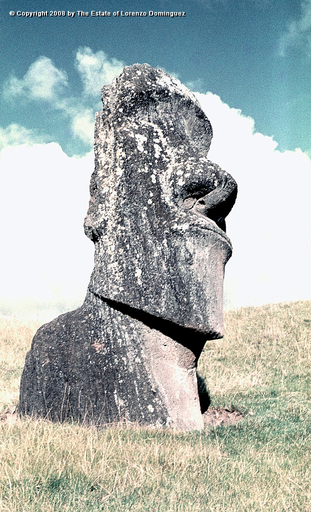 RRE_Hina_Riru_34.jpg - Easter Island. 1960. Moai on the exterior slope of Rano Raraku. This moai is said to represent Hina-Riru, the first master sculptor who arrived on Easter Island with king Hotu Matu'a.