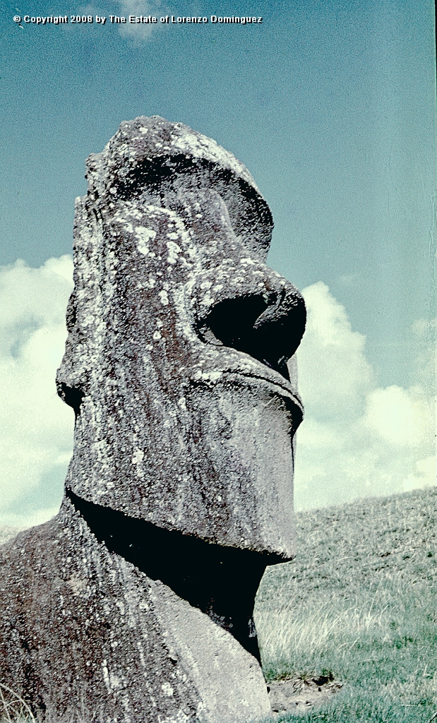 RRE_Hina_Riru_35.jpg - Easter Island. 1960. Moai on the exterior slope of Rano Raraku. This moai is said to represent Hina-Riru, the first master sculptor who arrived on Easter Island with king Hotu Matu'a.