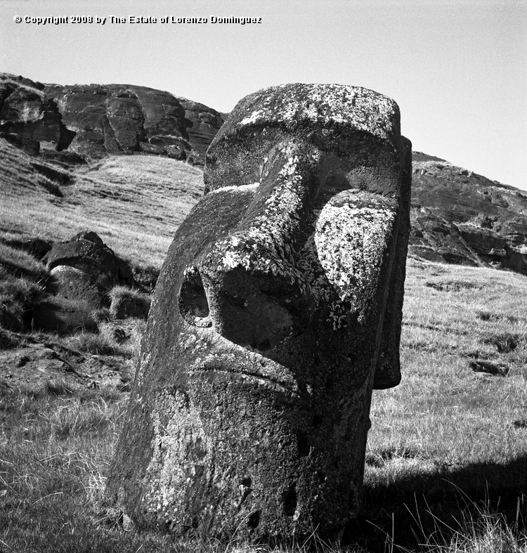 RRE_Hundido_06.jpg - Easter Island. 1960. Moai on the exterior slope of Rano Raraku. Identified by Lorenzo Dominguez as "The Sunken One."