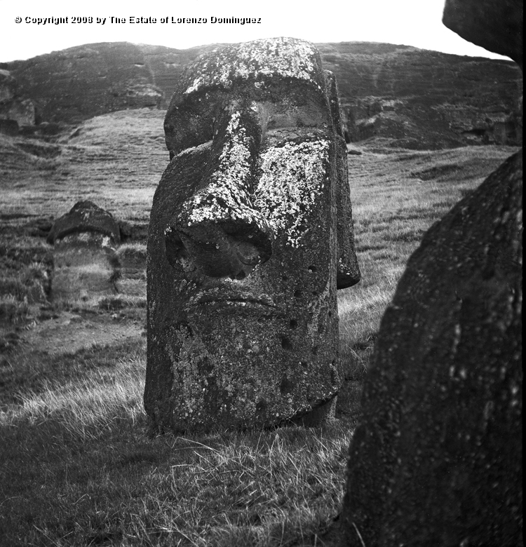 RRE_Hundido_07.jpg - Easter Island. 1960. Moai on the exterior slope of Rano Raraku. Identified by Lorenzo Dominguez as "The Sunken One."