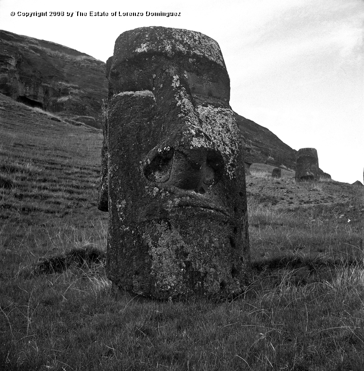 RRE_Hundido_08.jpg - Easter Island. 1960. Moai buried up to the chin on the exterior slope of Rano Raraku. Identified by Lorenzo Dominguez as "The Sunken One."