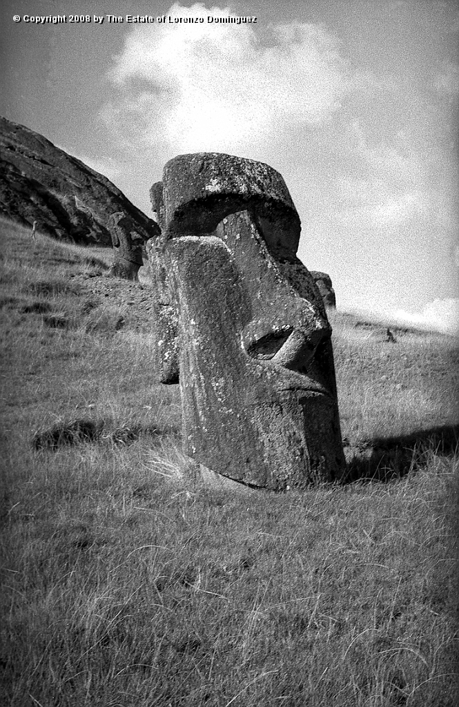 RRE_Hundido_11.jpg - Easter Island. 1960. Moai on the exterior slope of Rano Raraku. Identified by Lorenzo Dominguez as "The Sunken One."