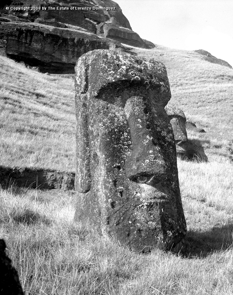 RRE_Ladera_Exterior_03.jpg - Easter Island. 1960. Moai buried up to the chin on the exterior slope of Rano Raraku.