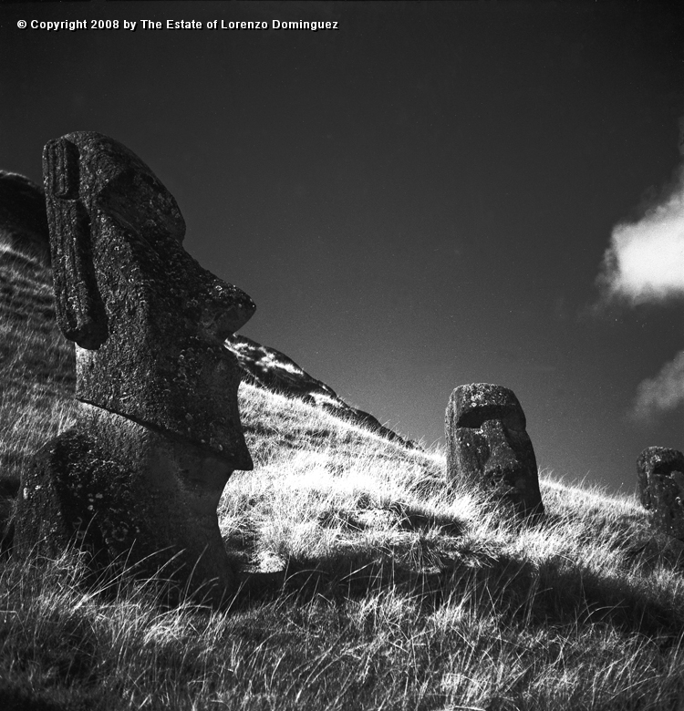 RRE_Ladera_Exterior_06.jpg - Easter Island. 1960. Group of moai on the exterior slope of Rano Raraku.