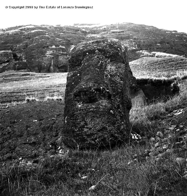 RRE_Ladera_Exterior_09.jpg - Easter Island. 1960. Partially buried moai on the exterior slope of Rano Raraku.