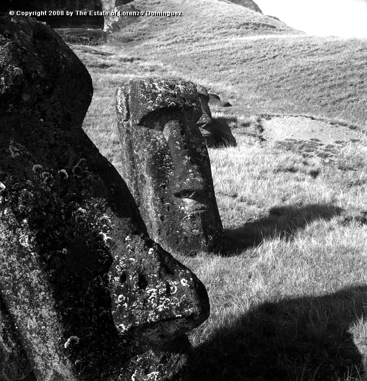 RRE_Ladera_Exterior_11.jpg - Easter Island. 1960. Moai on the exterior slope of Rano Raraku. Large head profile.