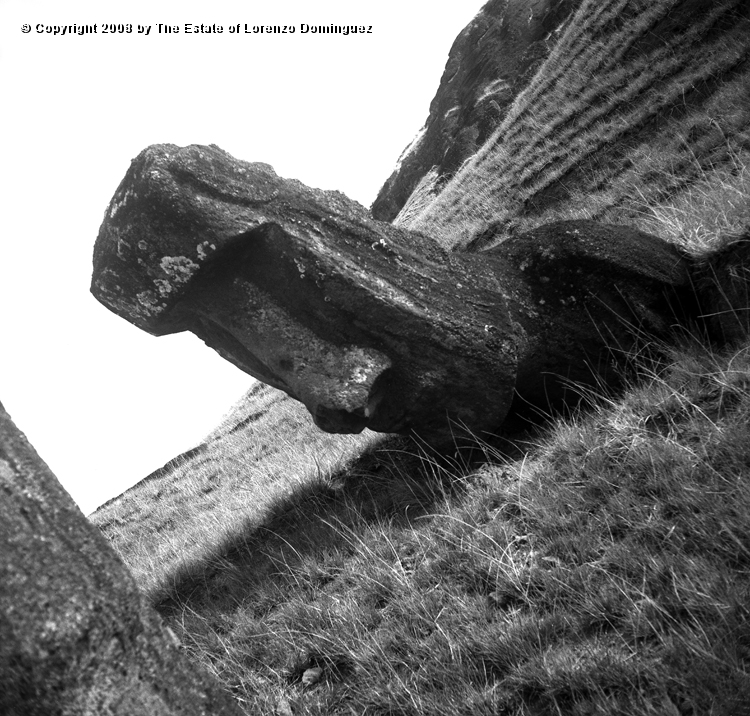 RRE_Ladera_Exterior_15.jpg - Easter Island. 1960. Moai leaning forward on the exterior slope of Rano Raraku.