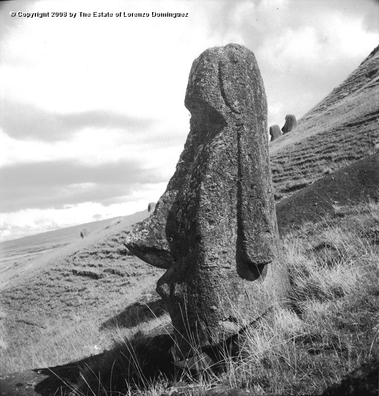 RRE_Ladera_Exterior_19.jpg - Easter Island. 1960. Moai on the exterior slope of Rano Raraku with complete ears.