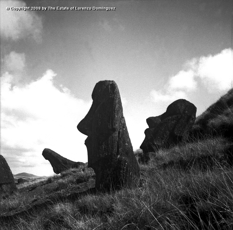 RRE_Ladera_Exterior_20.jpg - Easter Island. 1960. Three moai on the exterior slope of Rano Raraku.