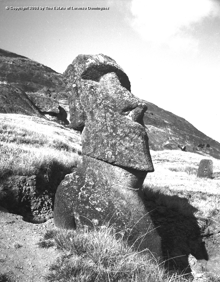 RRE_Ladera_Exterior_22.jpg - Easter Island. 1960. Moai on the exterior slope of Rano Raraku.