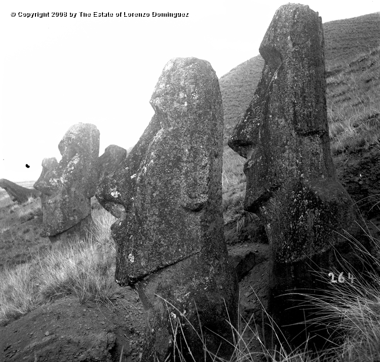 RRE_Ladera_Exterior_23.jpg - Easter Island. 1960. Group of moai on the exterior slope of Rano Raraku.