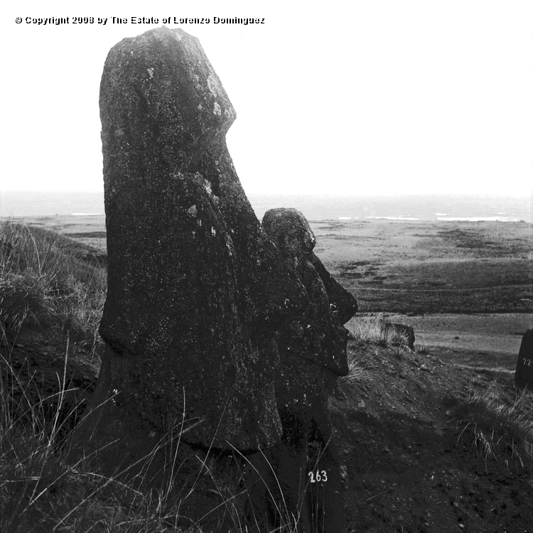RRE_Ladera_Exterior_29.jpg - Easter Island. 1960. Two moai on the exterior slope of Rano Raraku.