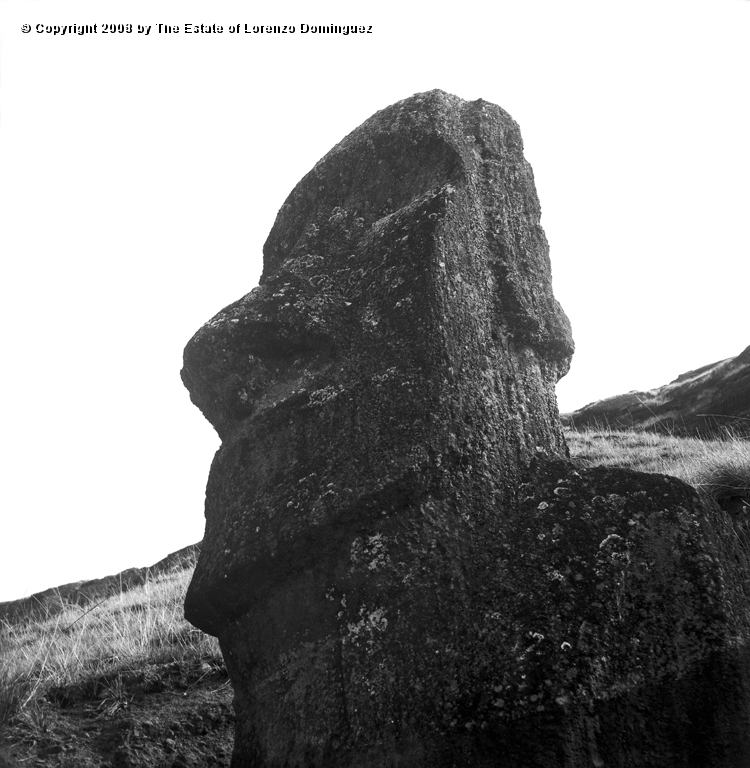 RRE_Ladera_Exterior_31.jpg - Easter Island. 1960. Moai on the exterior slope of Rano Raraku.
