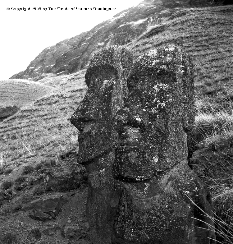 RRE_Ladera_Exterior_34.jpg - Easter Island. 1960. Couple of moai on the exterior slope of Rano Raraku.
