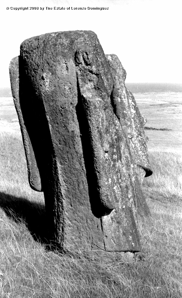 RRE_Ladera_Exterior_35.jpg - Easter Island. 1960. Rear view of two moai on the exterior slope of Rano Raraku.