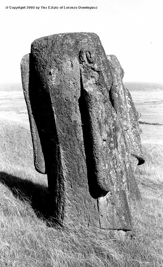 RRE_Ladera_Exterior_36.jpg - Easter Island. 1960. Rear view of two moai on the exterior slope of Rano Raraku.
