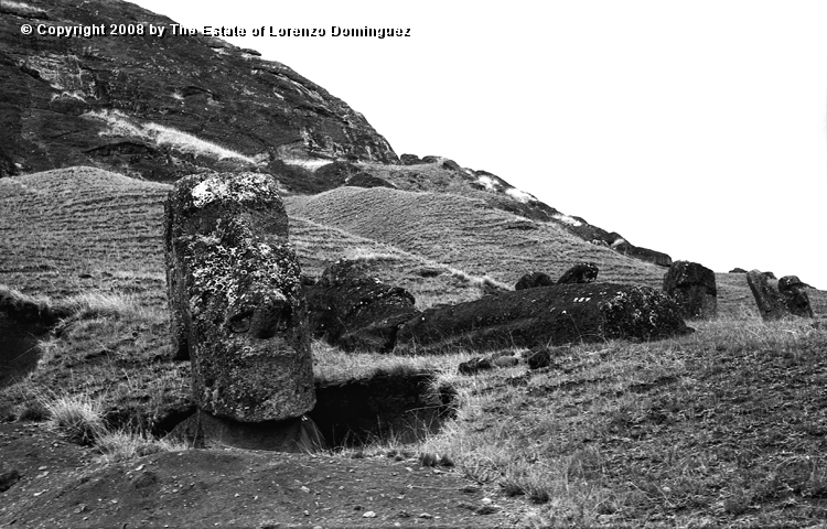 RRE_Ladera_Exterior_41.jpg - Easter Island. 1960. Moai on the exterior slope of Rano Raraku.
