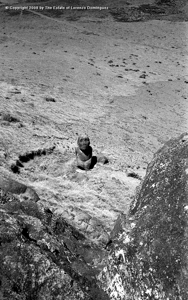 RRE_Ladera_Exterior_43.jpg - Easter Island. 1960. Exterior slope of Rano Raraku. Kneeling moai excavated by Heyerdahl in 1956 seen from above, from the top of the quarries.