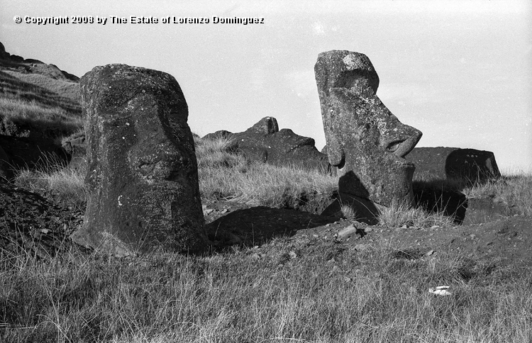 RRE_Ladera_Exterior_45.jpg - Easter Island. 1960. Group of moai on the exterior slope of Rano Raraku.