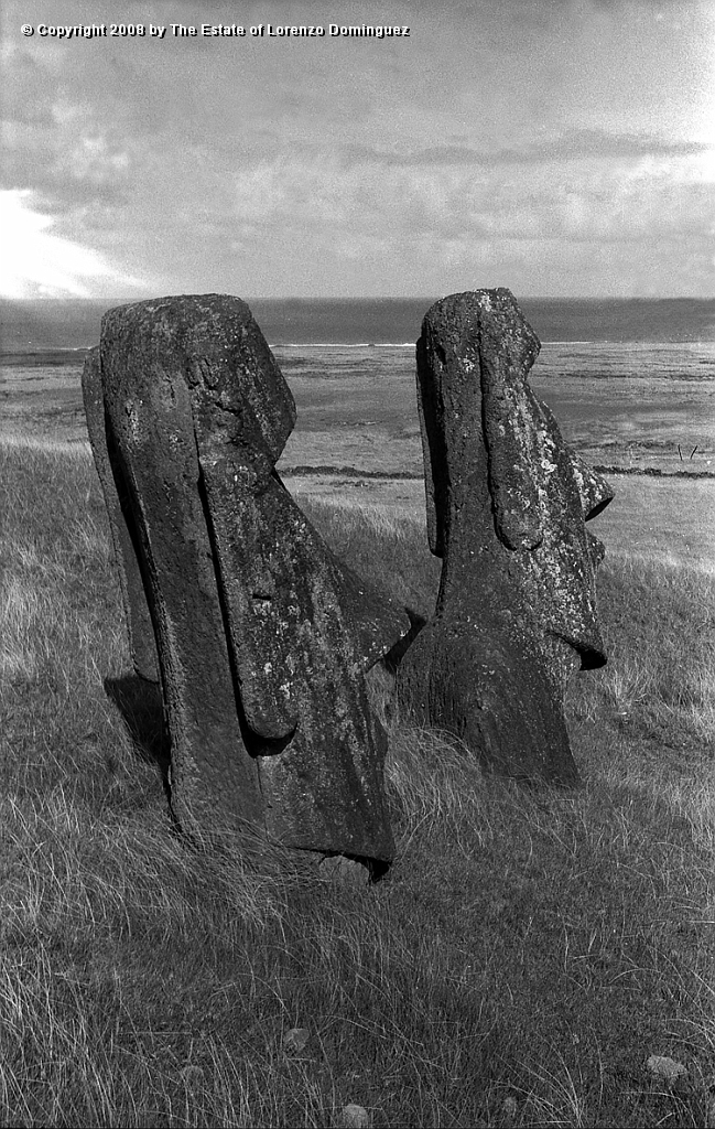 RRE_Ladera_Exterior_46.jpg - Easter Island. 1960. Moai on the exterior slope of Rano Raraku. Two moai seen from behind.