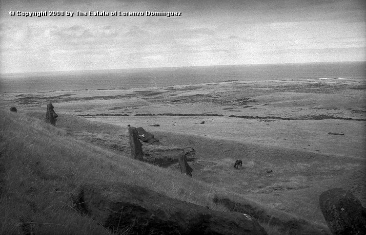 RRE_Ladera_Exterior_47.jpg - Easter Island. 1960. Moai on the exterior slope of Rano Raraku.