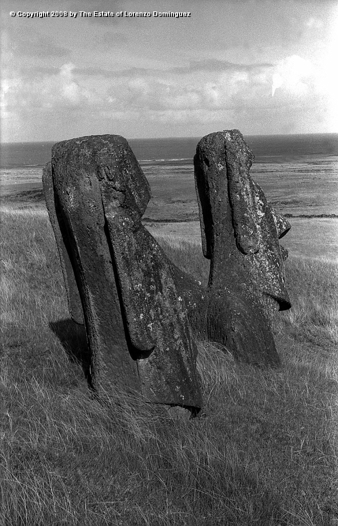 RRE_Ladera_Exterior_49.jpg - Easter Island. 1960. Moai on the exterior slope of Rano Raraku. Two moai seen from behind.