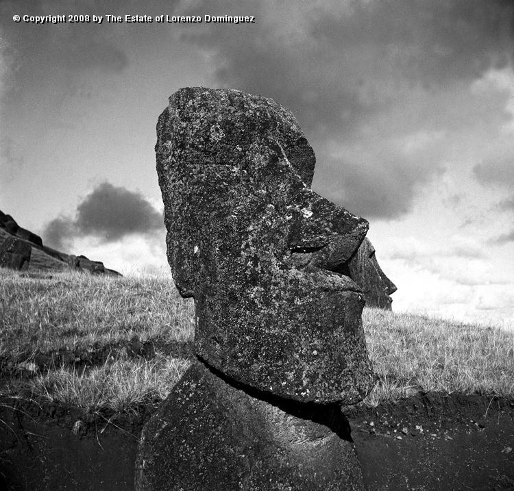 RRE_Luminoso_01.jpg - Easter Island. 1960. Moai on the exterior slope of Rano Raraku. Identified by Lorenzo Dominguez as "The Luminous One."