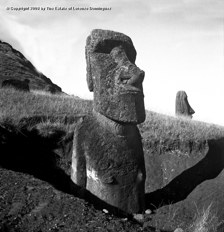 RRE_Luminoso_04.jpg - Easter Island. 1960. Moai number 280 on the exterior slope of Rano Raraku. Identified by Lorenzo Dominguez as "The Luminous One."