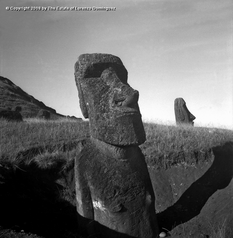 RRE_Luminoso_05.jpg - Easter Island. 1960. Moai on the exterior slope of Rano Raraku. Identified by Lorenzo Dominguez as "The Luminous One."  Moai number 280.
