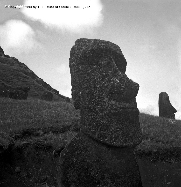 RRE_Luminoso_06.jpg - Easter Island. 1960. Moai on the exterior slope of Rano Raraku. Identified by Lorenzo Dominguez as "The Luminous One." Moai number 280.