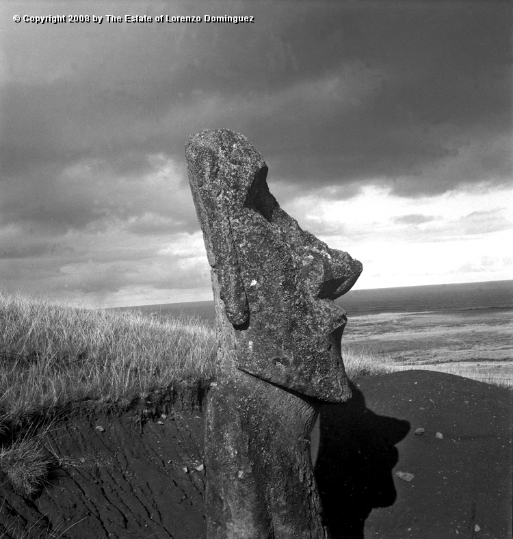 RRE_Luminoso_07.jpg - Easter Island. 1960. Moai on the exterior slope of Rano Raraku. Identified by Lorenzo Dominguez as "The Luminous One." Picture taken before the tsunami of May, 1960.