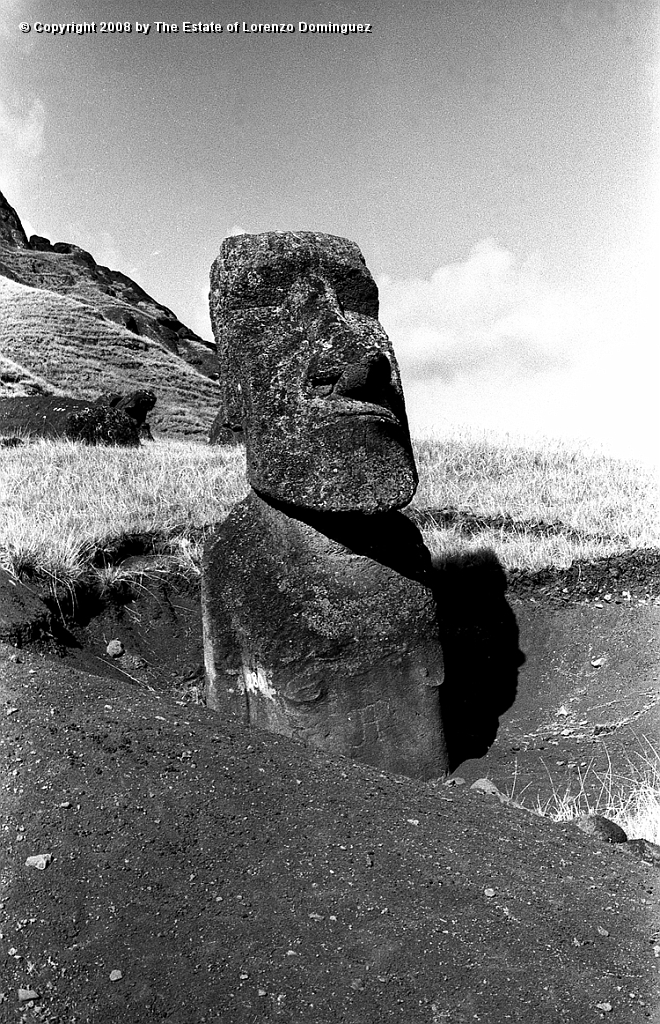 RRE_Luminoso_10.jpg - Easter Island. 1960. Moai on the exterior slope of Rano Raraku. Identified by Lorenzo Dominguez as "The Luminous One."