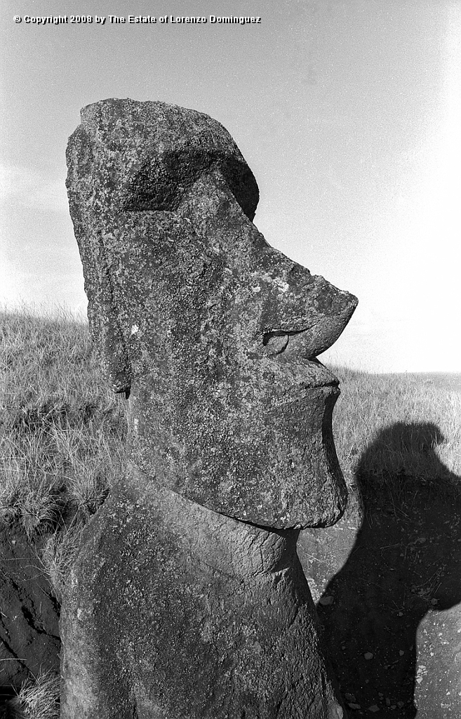RRE_Luminoso_11.jpg - Easter Island. 1960. Moai on the exterior slope of Rano Raraku. Identified by Lorenzo Dominguez as "The Luminous One."
