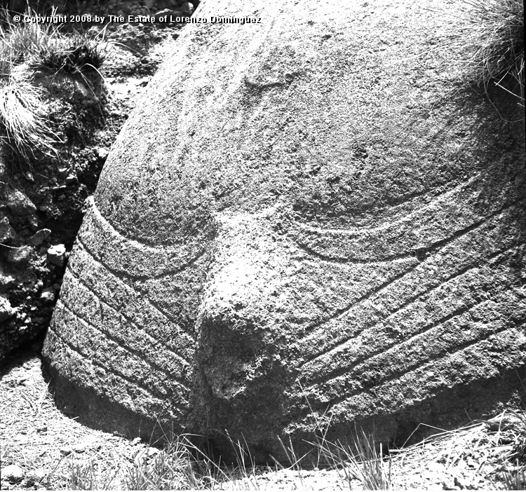 RRE_Manos_01.jpg - Easter Island. 1960. Detail of hands of a moai on the exterior slope of Rano Raraku.