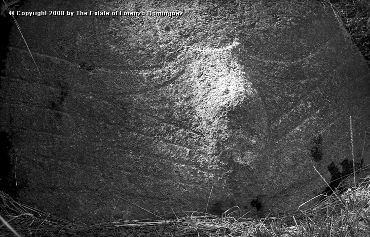 RRE_Manos_04.jpg - Easter Island. 1960. Detail of hands of a fallen moai on the exterior slope of Rano Raraku.