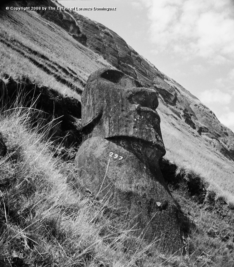 RRE_Reposa_01.jpg - Easter Island. 1960. Moai on the exterior slope of Rano Raraku. Identified by Lorenzo Dominguez as "The Resting One."