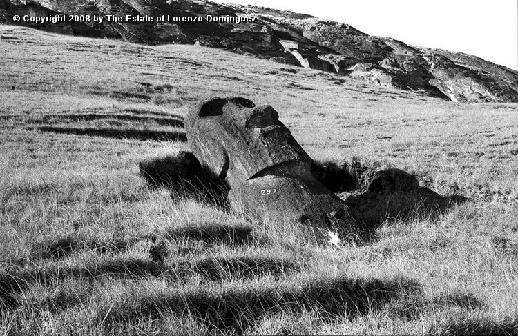 RRE_Reposa_02.jpg - Easter Island. 1960. Moai on the exterior slope of Rano Raraku. Identified by Lorenzo Dominguez as "The Resting One."