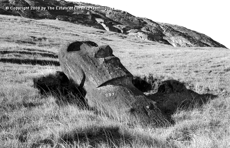 RRE_Reposa_03.jpg - Easter Island. 1960. Moai on the exterior slope of Rano Raraku. Identified by Lorenzo Dominguez as "The Resting One."