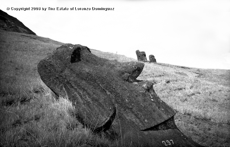 RRE_Reposa_04.jpg - Easter Island. 1960. Moai on the exterior slope of Rano Raraku. Identified by Lorenzo Dominguez as "The Resting One."