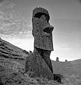 RRE_Baquedano_10
