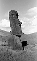 RRE_Baquedano_15