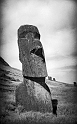 RRE_Baquedano_18