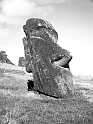 RRE_Hundido_05