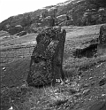 RRE_Ladera_Exterior_02