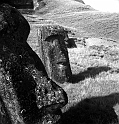 RRE_Ladera_Exterior_11