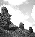 RRE_Ladera_Exterior_13